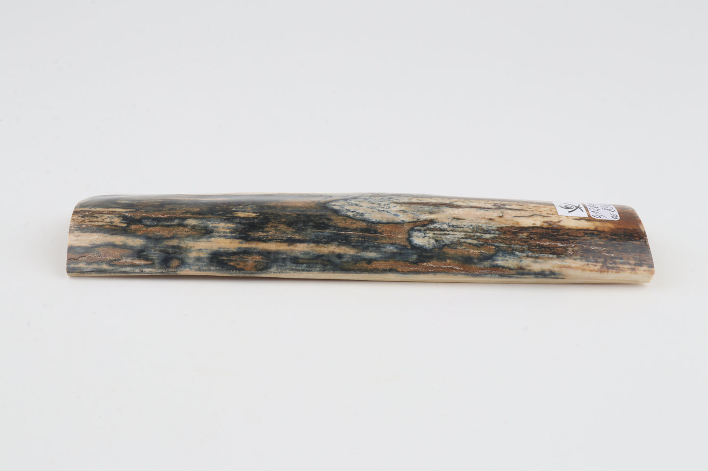 Blue-mustard mammoth bark