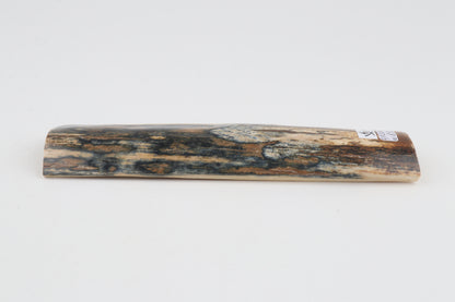Blue-mustard mammoth bark