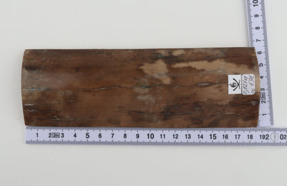 Beige mammoth bark