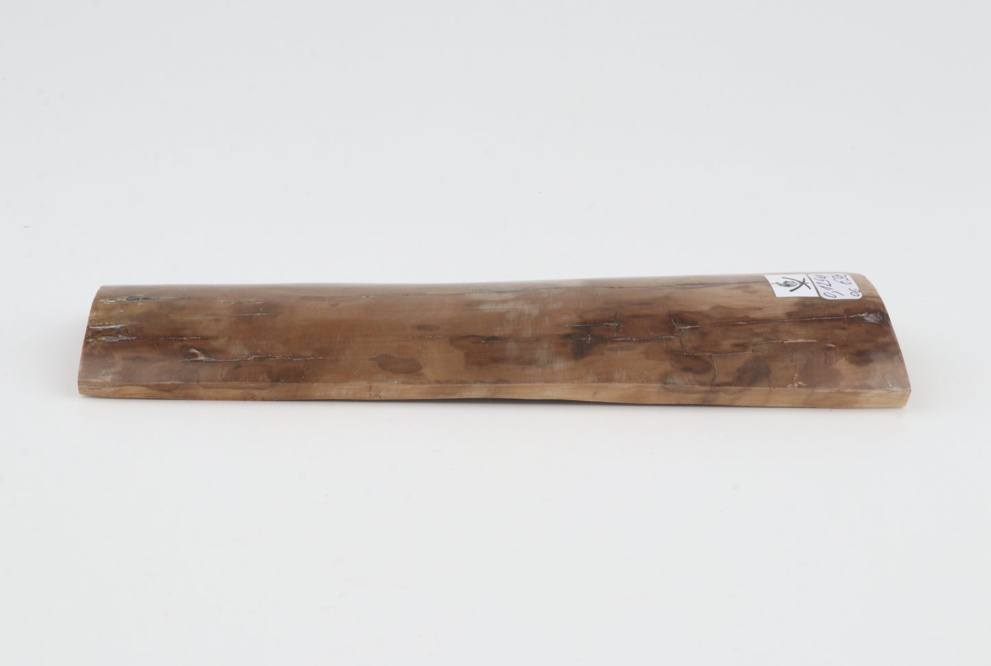 Beige mammoth bark