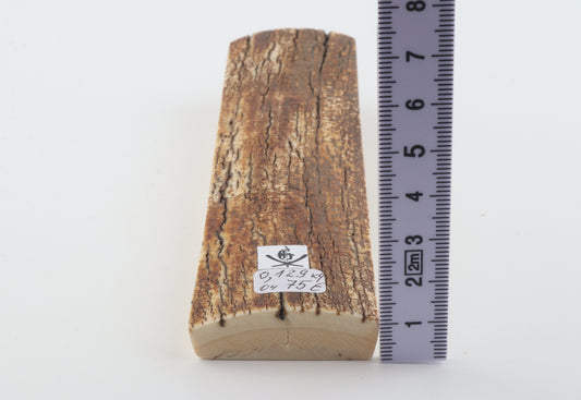 Orange-caramel mammoth bark