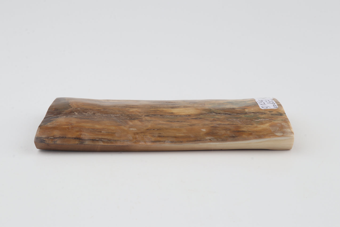 Mustard mammoth bark