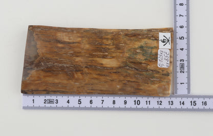 Mustard mammoth bark