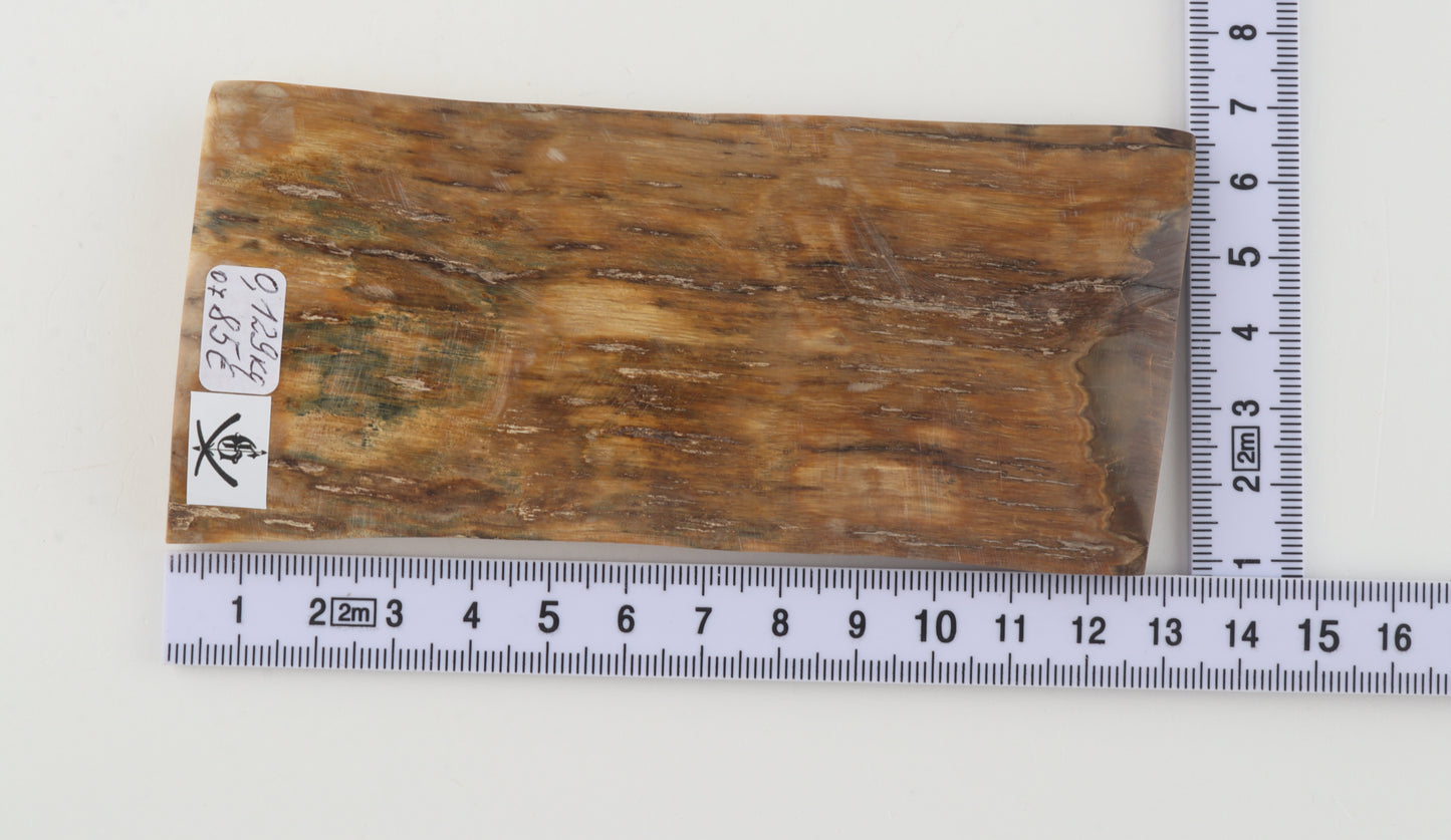 Mustard mammoth bark