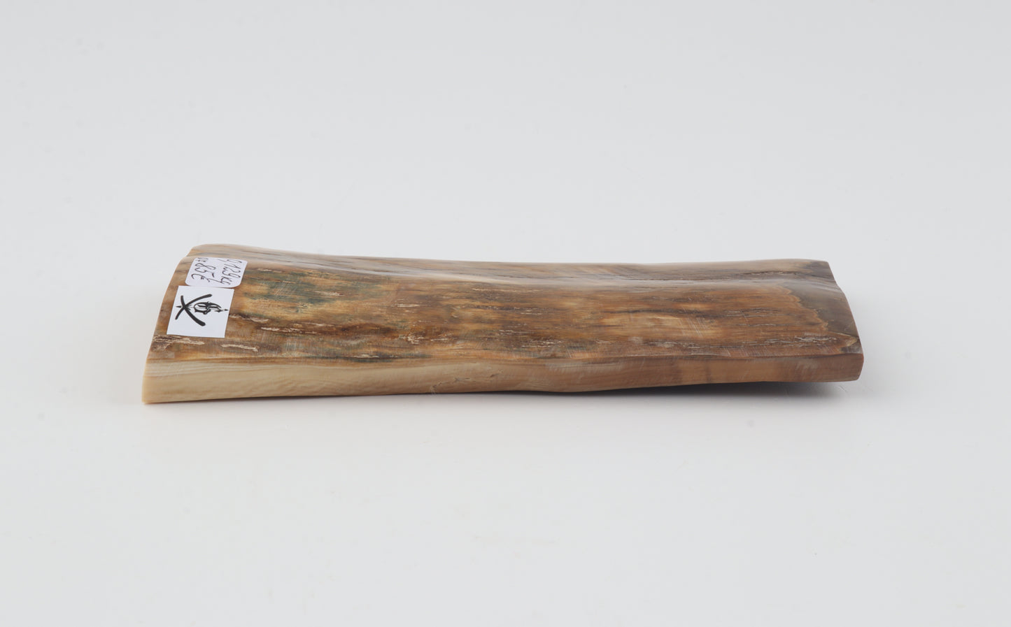 Mustard mammoth bark