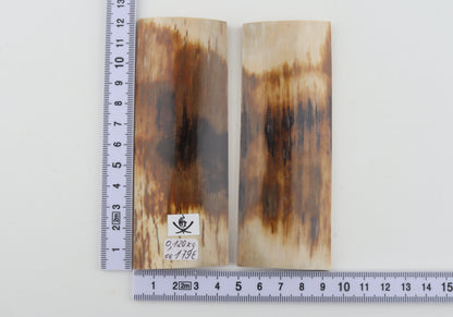 Natural mammoth bark scales