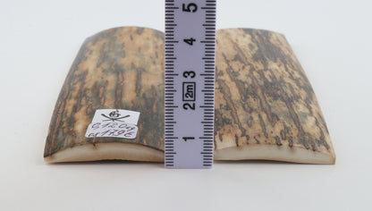 Natural mammoth bark scales
