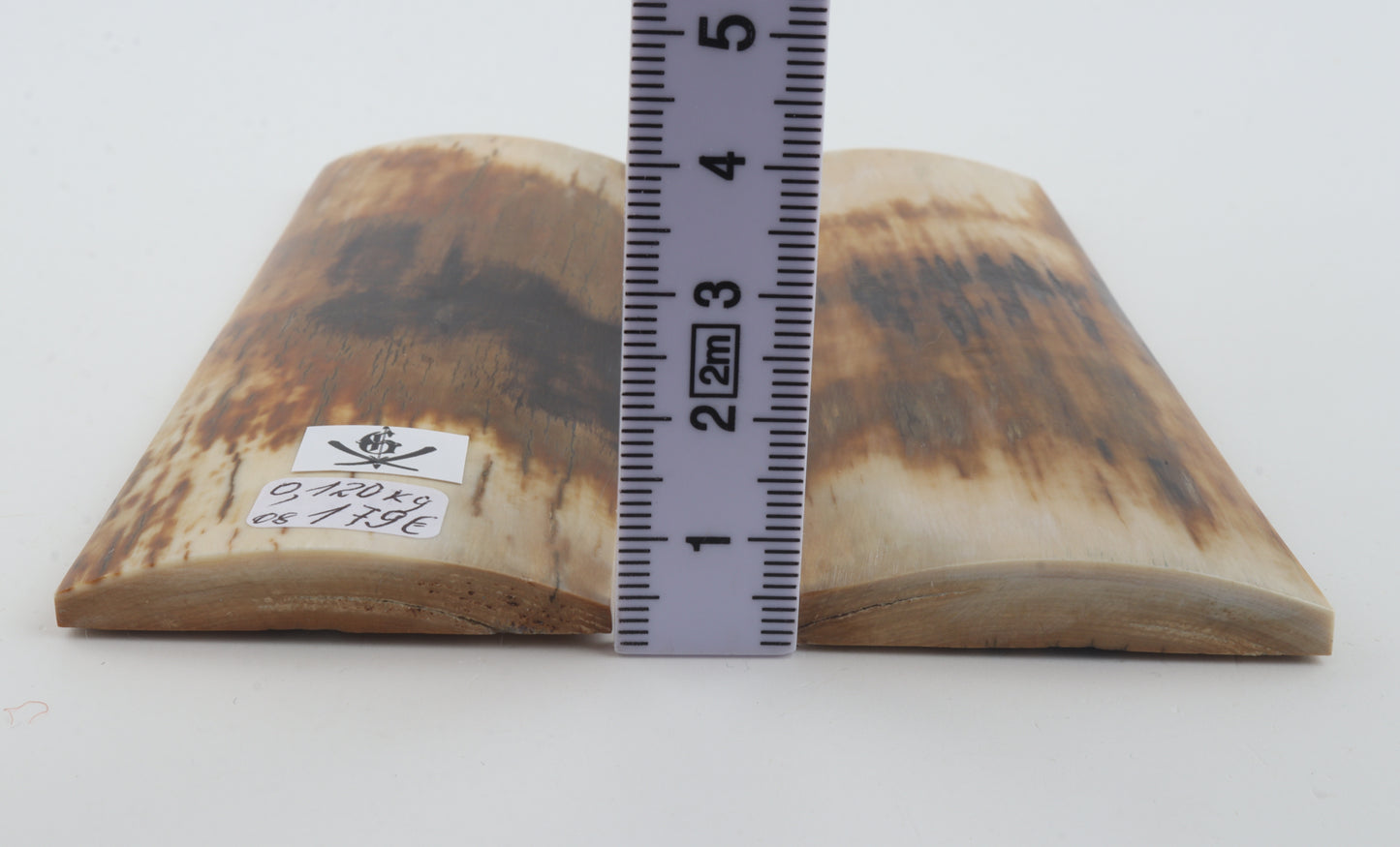 Natural mammoth bark scales