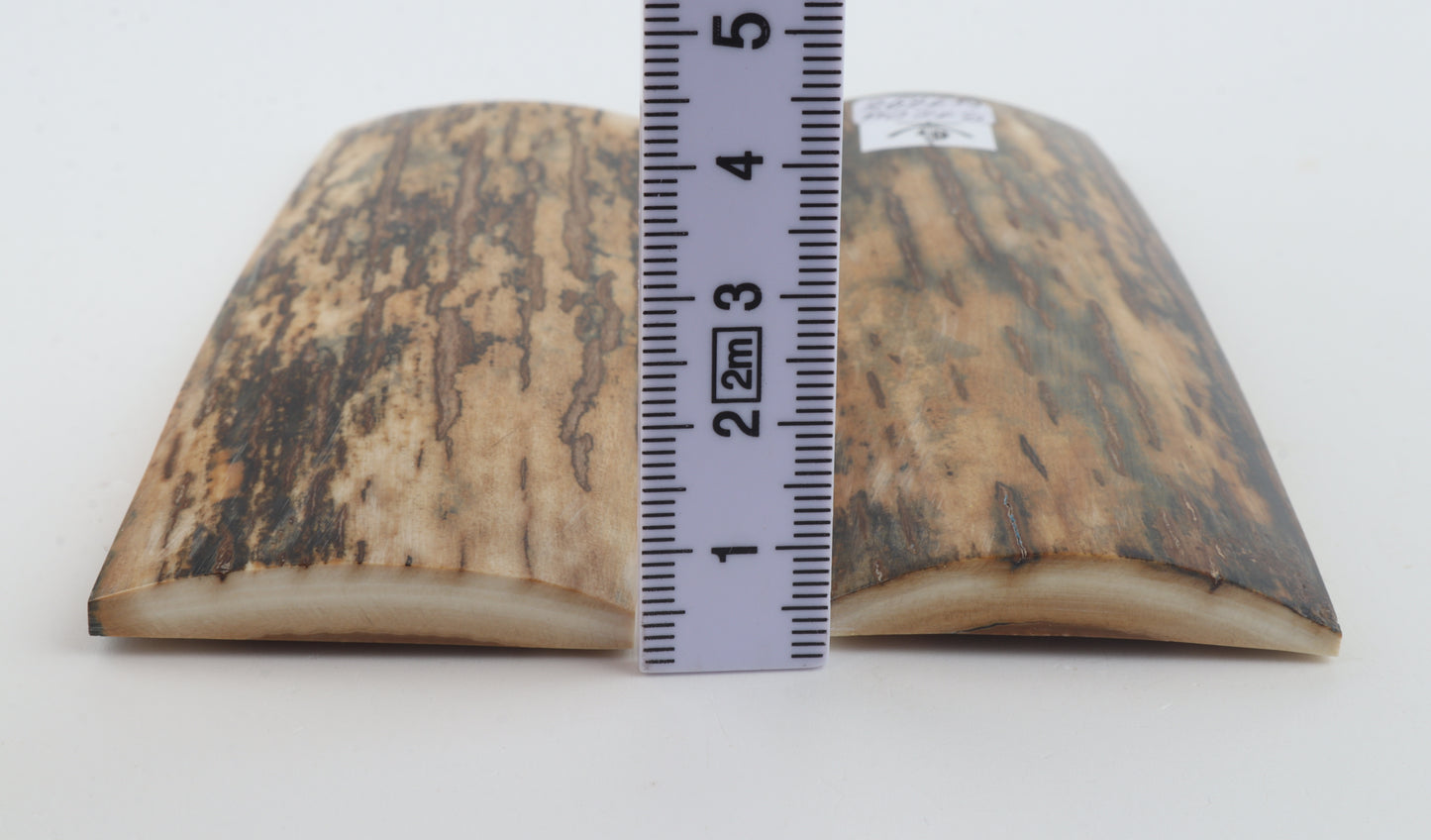 Natural mammoth bark scales