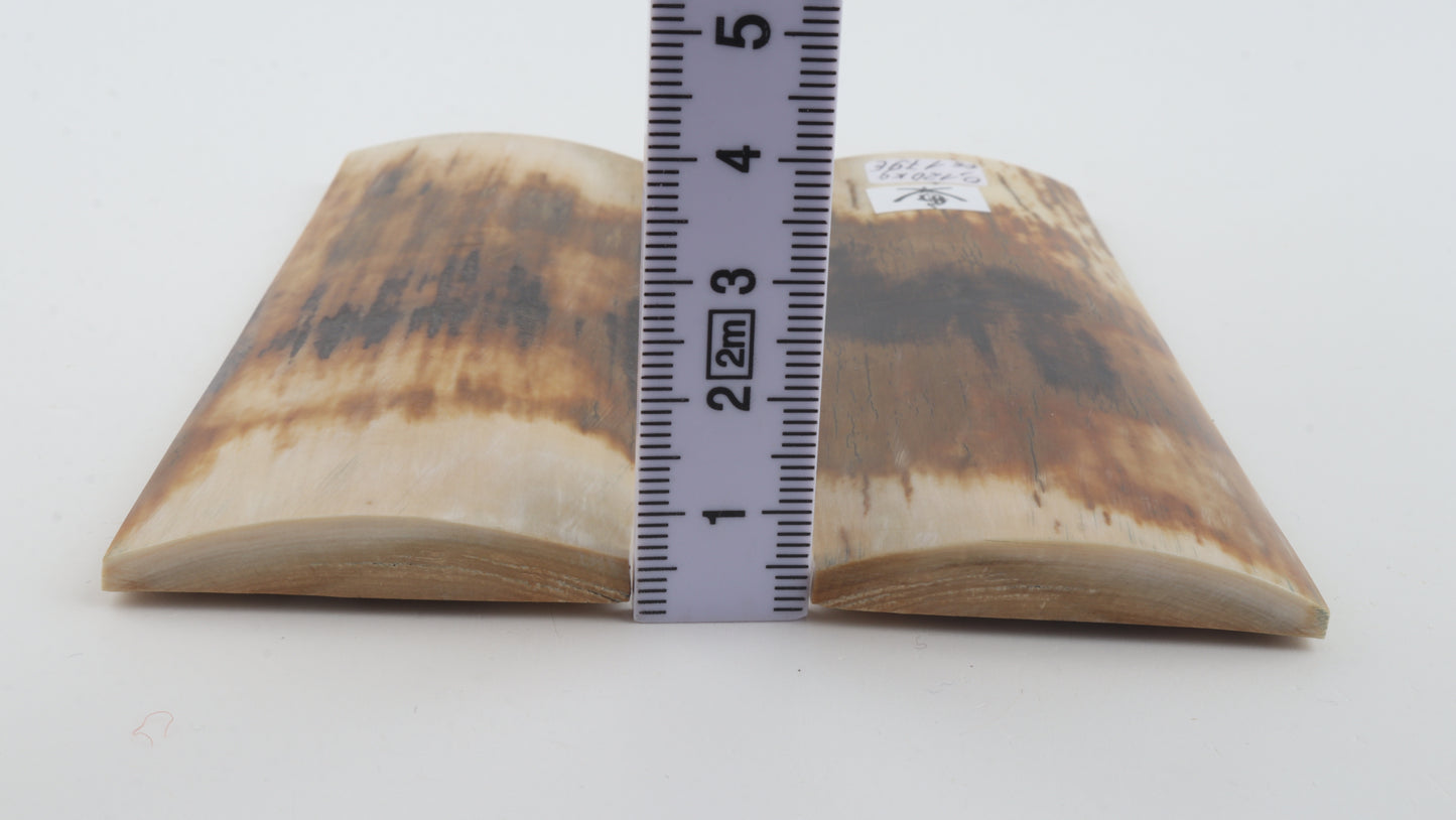 Natural mammoth bark scales