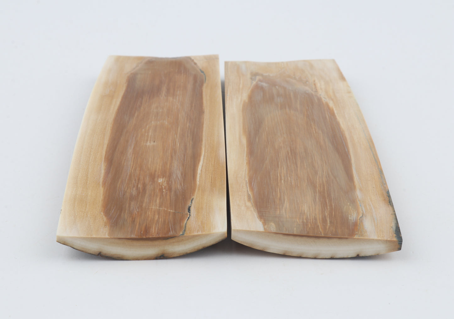 Natural mammoth bark scales
