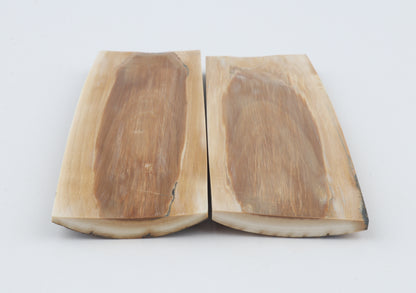Natural mammoth bark scales