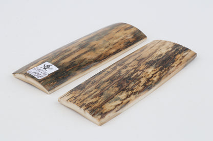 Natural mammoth bark scales
