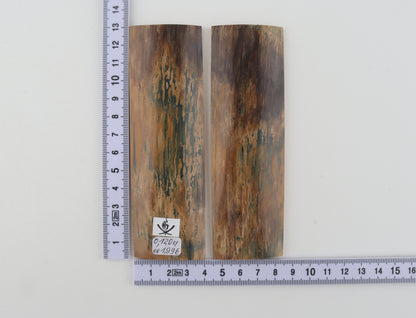 Natural mammoth bark scales