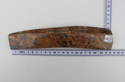 Mustard mammoth bark