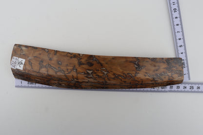 Mustard mammoth bark