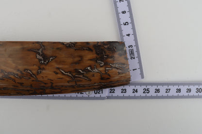 Mustard mammoth bark