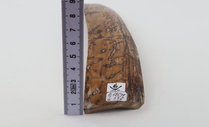 Mustard mammoth bark