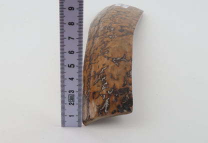 Mustard mammoth bark