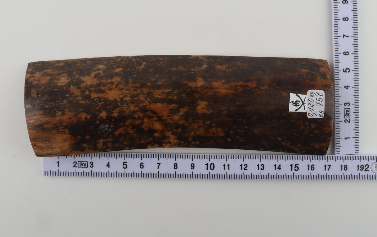 Brown-black mammoth bark