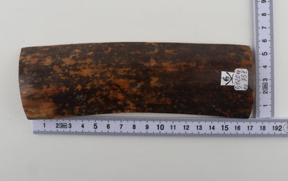 Brown-black mammoth bark