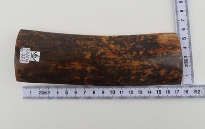 Brown-black mammoth bark