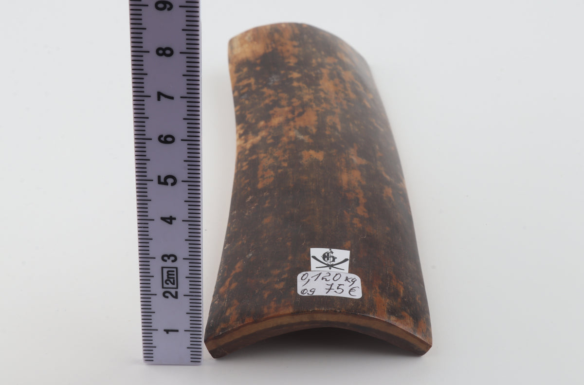 Brown-black mammoth bark