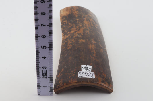 Brown-black mammoth bark