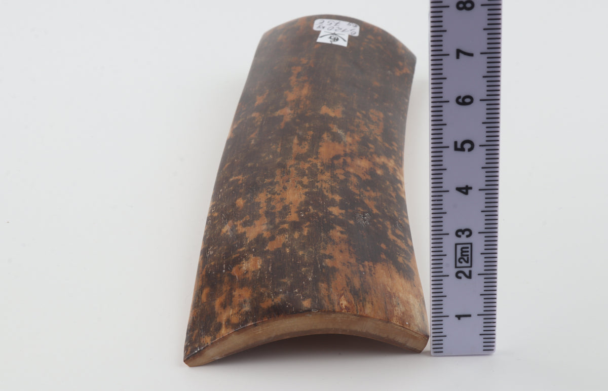 Brown-black mammoth bark