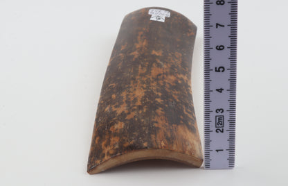 Brown-black mammoth bark