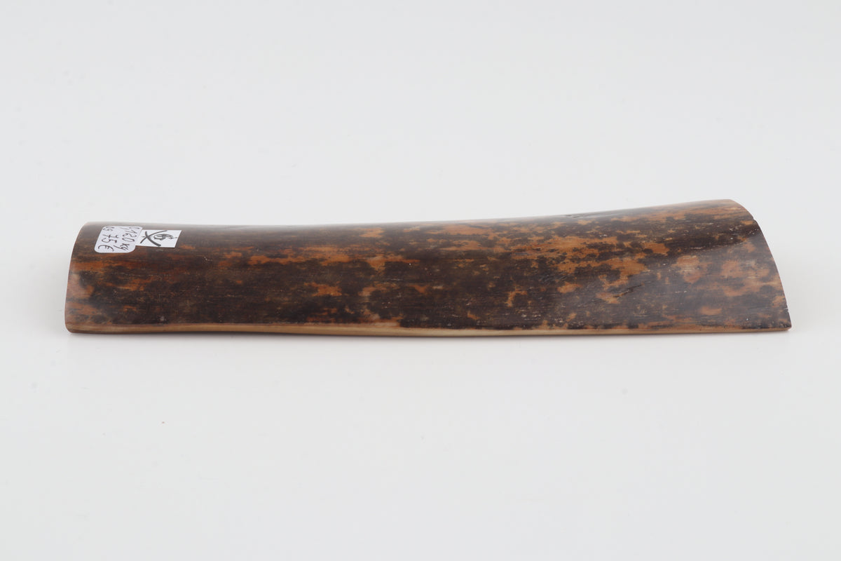 Brown-black mammoth bark