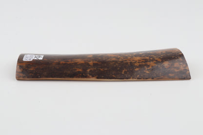 Brown-black mammoth bark