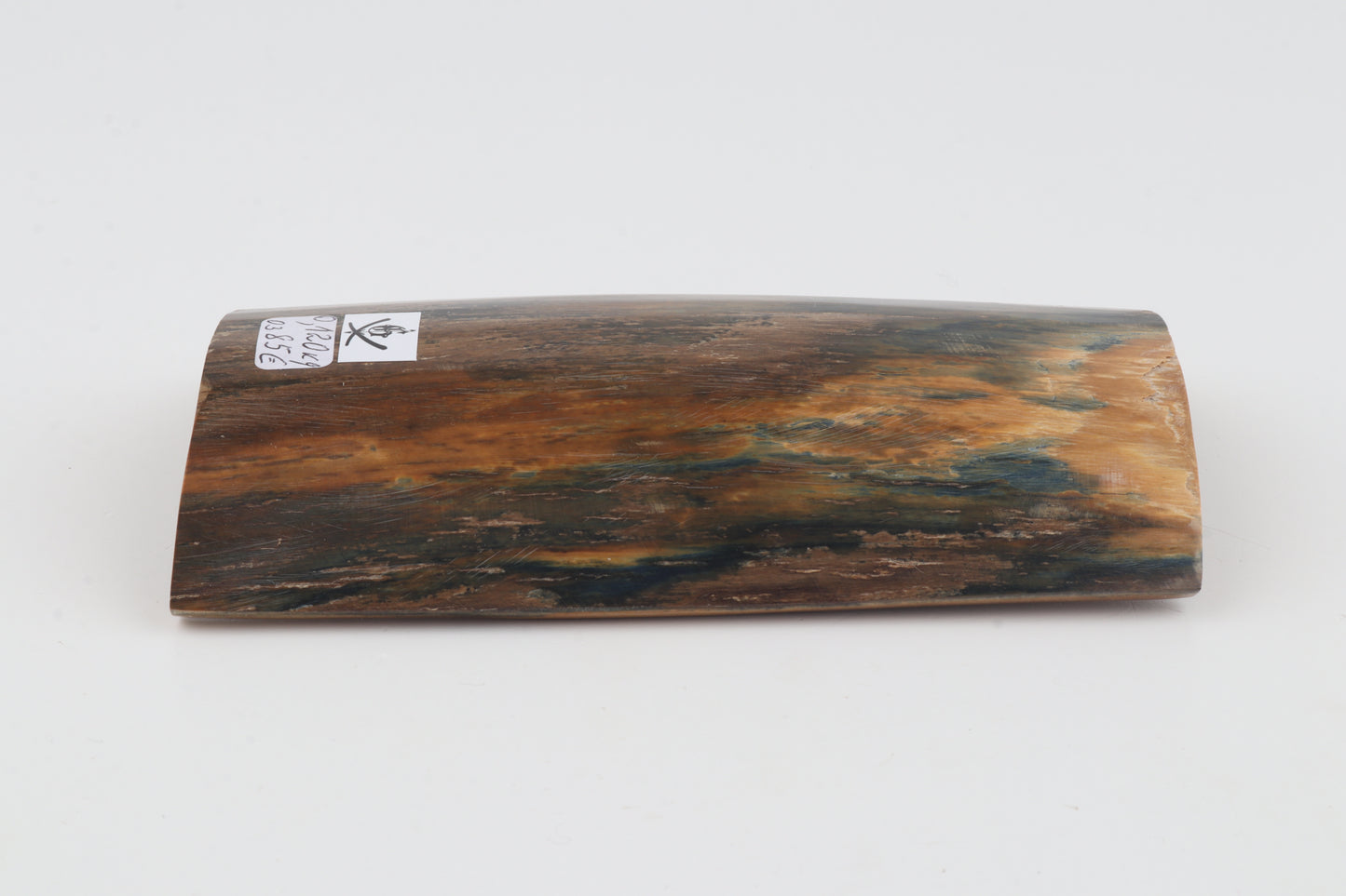 Blue-brown mammoth bark