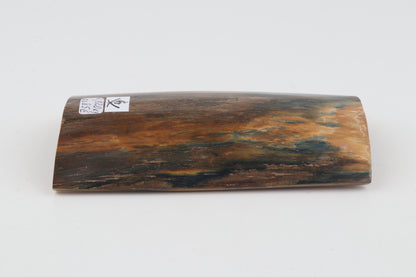 Blue-brown mammoth bark