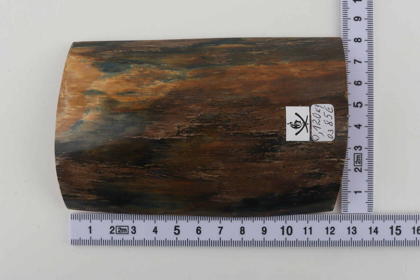 Blue-brown mammoth bark