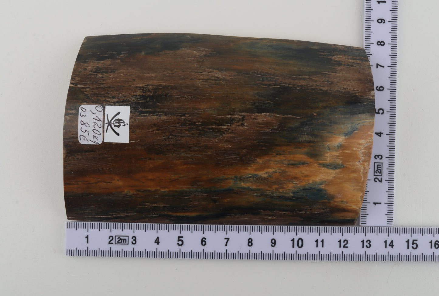 Blue-brown mammoth bark