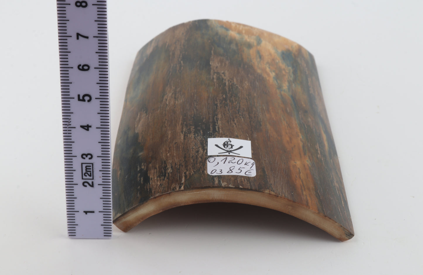 Blue-brown mammoth bark