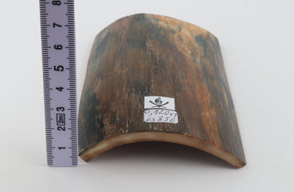 Blue-brown mammoth bark