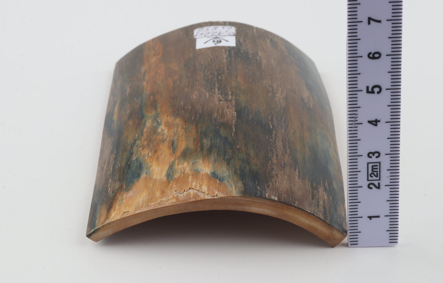 Blue-brown mammoth bark