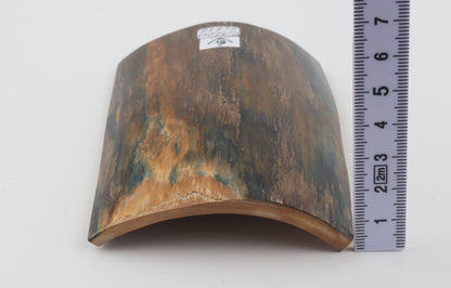 Blue-brown mammoth bark