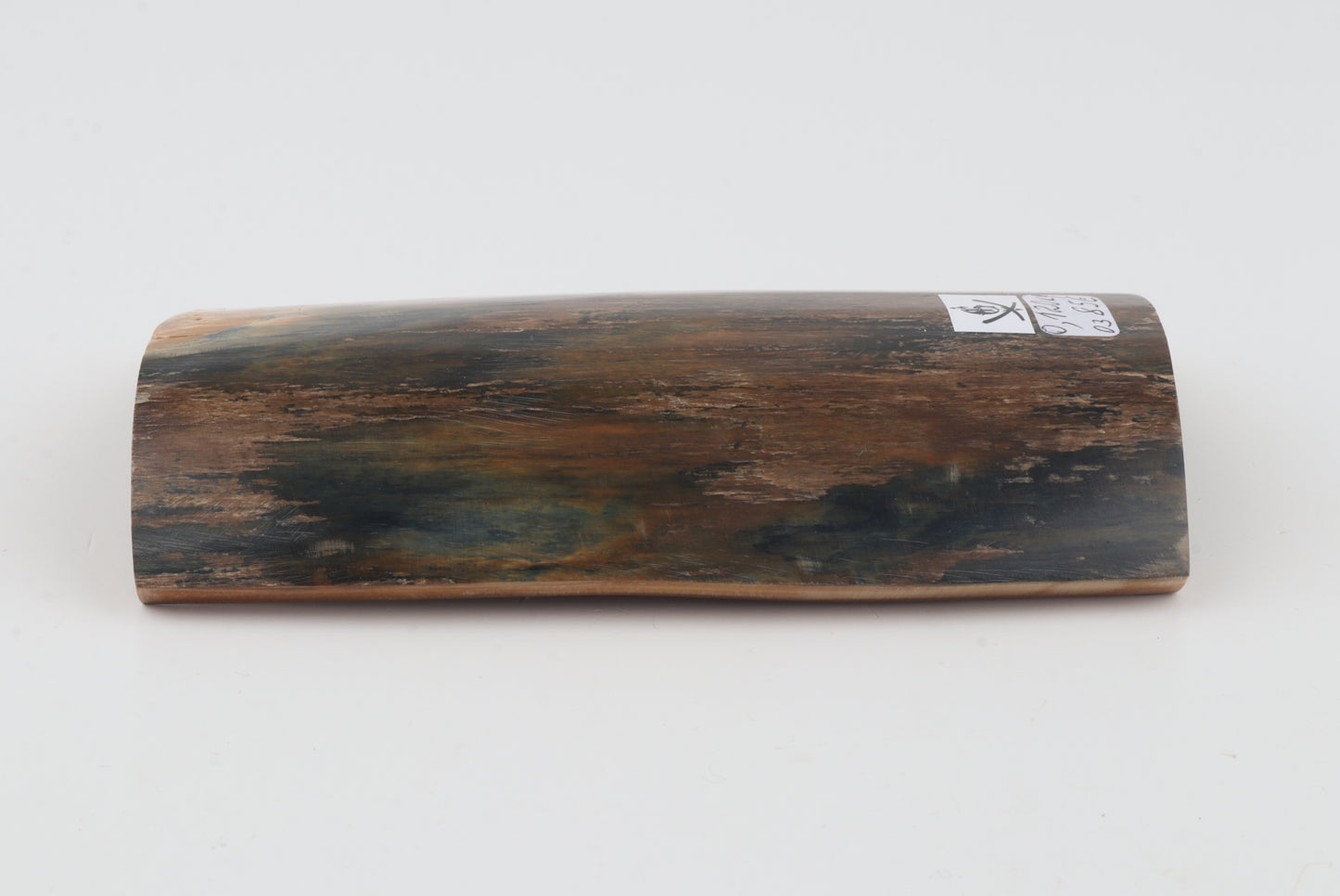 Blue-brown mammoth bark