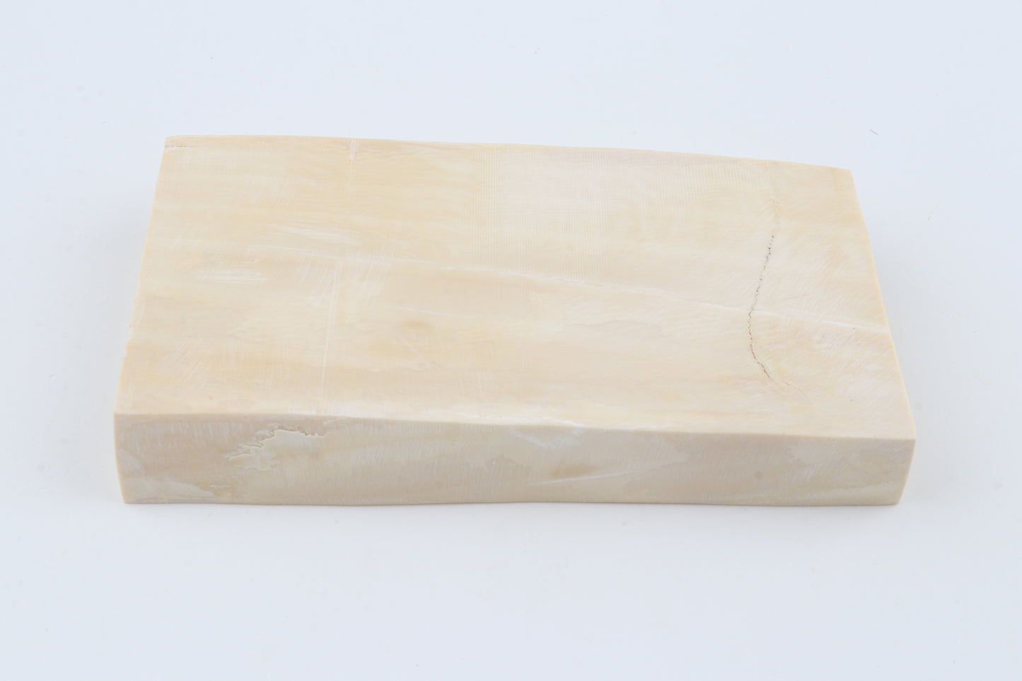 White mammoth ivory segment