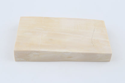 White mammoth ivory segment
