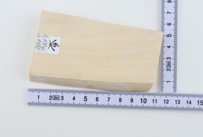 White mammoth ivory segment