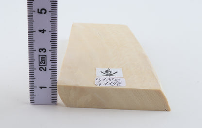 White mammoth ivory segment