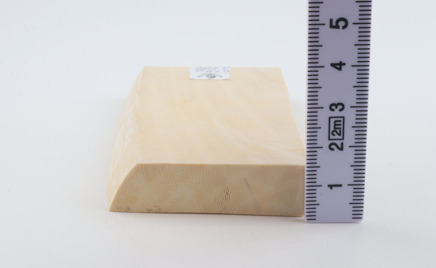 White mammoth ivory segment