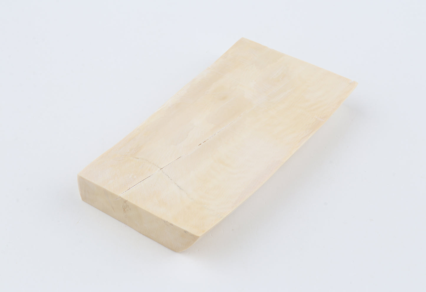 White mammoth ivory segment