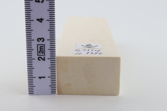 White mammoth ivory segment