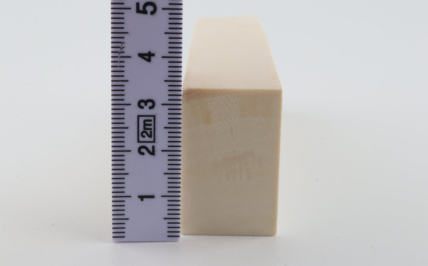 White mammoth ivory segment