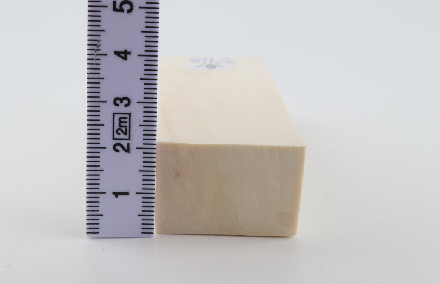 White mammoth ivory segment